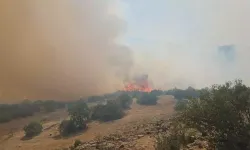Balıkesir Kepsut’ta Orman Yangını: Karadan ve Havadan Müdahale Sürüyor