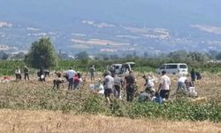 Bursa’da örnek davranış! Çiftçi patatesleri vatandaşa ücretsiz dağıttı