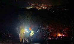 Denizli-Aydın sınırındaki orman yangını kontrol altına alındı