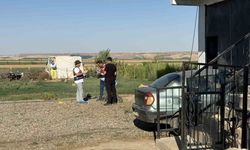 Diyarbakır’da arazi kavgasındakan aktı: 1 ölü, 5 yaralı