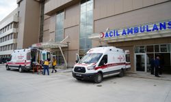 Erzincan’da otomobil şarampole uçtu: 1 ölü 3 yaralı