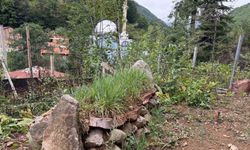 Giresun’da köylüler Hacı İlyas’ın mezarının türbeye dönüştürülmesini istiyor