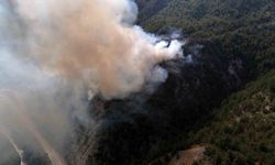 Karabük’te ormanlık alanda yangın paniği
