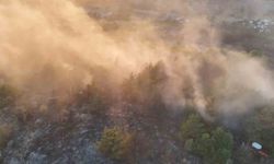 Ordu’nun Mesudiye ilçesinde orman yangını kontrol altına alındı