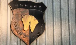 Başkent’te atçılık yaz aylarında da güzel