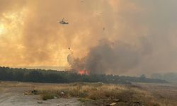 Çanakkale'de yangın büyüyor: Gözaltı sayısı 4’e yükseldi, şüpheli araç bulundu!