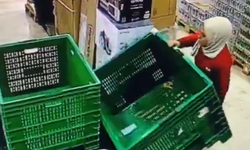 Zincir markette genç kadına verilen ağır yük tepki çekti