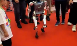 Çin'de düzenlenen bir fuarda robotun gördüğü muamele herkesi şaşırttı