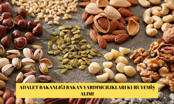 ADALET BAKANLIĞI BAKAN YARDIMCILIKLARI KURUYEMİŞ ALIMI