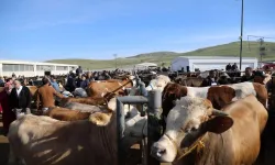 Ankara'da hayvan pazarları açıldı mı? Ankara canlı hayvan pazarı hangi gün?