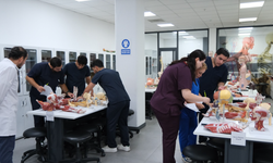 Ankara’da Tıp Öğrencilerine Özel Yaz Programı!
