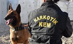 Batman’da 22 kilo skunk ele geçirildi: 4 kişi tutuklandı
