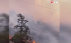 Malatya’da orman yangını!