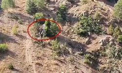 Sivas’ta fındık işçilerini taşıyan minibüs uçuruma yuvarlandı: 3 ölü 18 yaralı