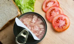 Marketten aldığımız ton balığı gerçekte ne? Soframıza gelen ton balığının asıl türleri