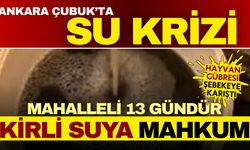 Çubuk’ta Hayvan Gübresi Şebekeye Karıştı: Mahalleli 13 Gündür Kirli Su Kullanıyor!