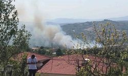 Türkiye’nin ciğerleri yanıyor! 5 ilde orman yangını!