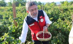 Bakan İbrahim Yumaklı: "Gençlerin katkısıyla üretim hız kazanıyor"