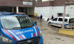 Besni su gözü mesire alanında feci kaza! Genç hayatını kaybetti