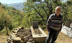 Karabük’te ayı mezarlığa girdi: Mezarı tahtalara kadar kazdı