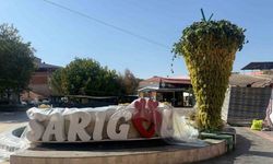 Manisa Sarıgöl’de 17. Sultani Üzüm Festivali’nde 650 kiloluk dev üzüm salkımı sergilendi