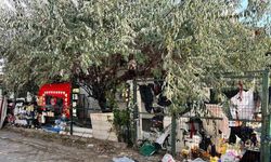 Sincan’da çöplerle dolu ev mahalleyi çileden çıkardı! Mahalleli yetkililere çağrı yaptı