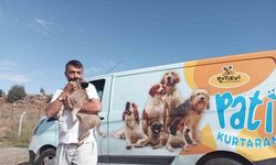 Talas’ta harabe yapıya düşen yavru köpek kurtarıldı