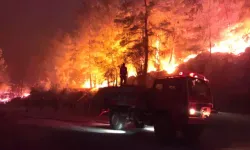 Alanya ve Milas’ta yangın kabusu: Alevler seraları ve evleri tehdit ediyor!
