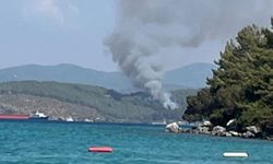 Bodrum’da orman yangını!