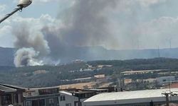 Çanakkale’de orman yangını: İki okul tahliye edildi!