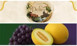 Delice, Üzüm Kavun ve Kültür Festivali’ne hazırlanıyor