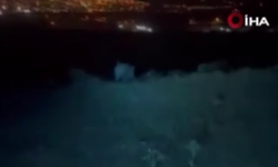 Ankara'da gençlerin domuz sürüsüyle karşılaşması ilginç anlara sahne oldu