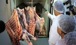 Ankara’da 11 bin 250 kilogram et ve tavuk ürünü ele geçirildi