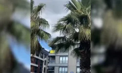 İstanbul’da satılık evin fiyatını duyan vatandaş şoke oldu!
