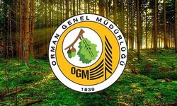 İŞKUR Orman Genel Müdürlüğü işçi alımı 2025: Başvuru tarihleri ve şartları