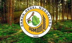 OGM personel alımı eylül: Orman Genel Müdürlüğü (OGM) daimi personel alımı ne zaman? Başvuru şartları neler?