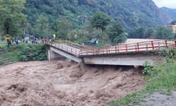 Doğu Karadeniz sağanakla sarsıldı: Köprü çöktü vatandaşlar mahsur kaldı!