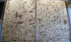 Başkent’te yeni kültür sanat sezonu “Aylandız Hangimiz” sergisiyle taçlandı