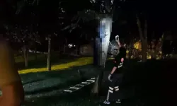 İstanbul’da esrarengiz ölüm: Kimliği belirsiz kişi ağaçta asılı bulundu!