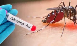 Çin’de Chikungunya alarmı! Vaka sayısı 1714’e ulaştı! Acil durum ilan edildi