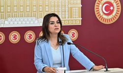 DEM Partili Koçyiğit’ten 11. Yargı Paketi tepkisi: 'Sızan hali vahim'