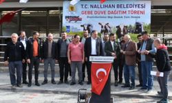 Ankara'da üretime destek sürüyor: Nallıhan’da gebe düve dağıtımı gerçekleştirildi
