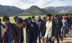 Türkiye’ye yeni göç dalgası uyarısı: İran Afganları sınır dışı ediyor