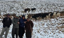 Adana’da kar bastırdı! Yaylada mahsur kalan kadın köylüler tarafından kurtarıldı