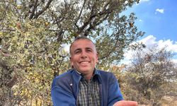Ankara'da şifa kaynağı alıç meyvesinin hasadına başlandı