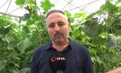 Devletten destek aldı! 10 bin metrekarelik serayla istihdam sağladı