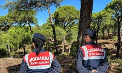 Jandarmadan doğa nöbeti! Sultan Çiğdemi koruma altında