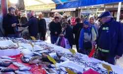 Samsun’da hamsi fiyatı 100 TL’ye düştü, vatandaşlar adeta kapıştı