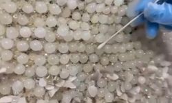 Şeytanın aklına gelmez: Uyuşturucuları gelinliklerdeki taşlara gizlemişler!