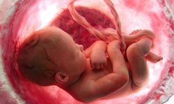 Anne karnındaki bebek annesinin gülüşünü hissedebiliyor